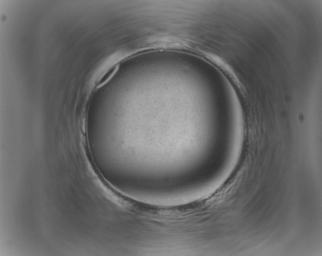 X0000062601383200512211059