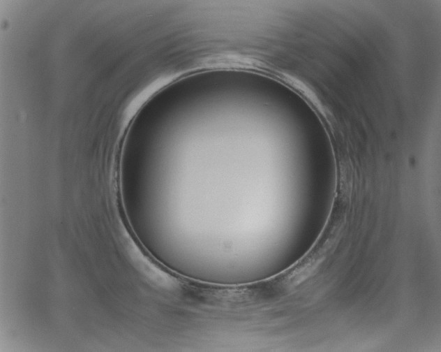 X0000062601387200512211059