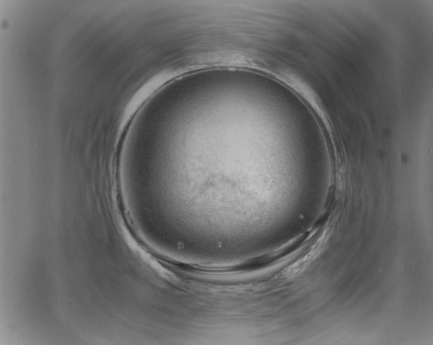 X0000062601389200512211059