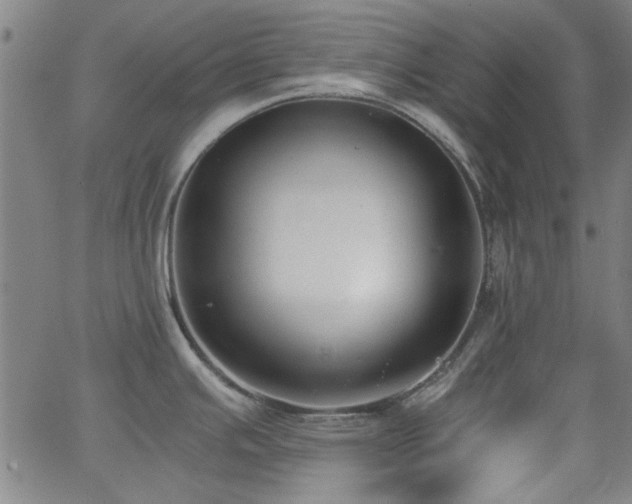 X0000062601391200512211059