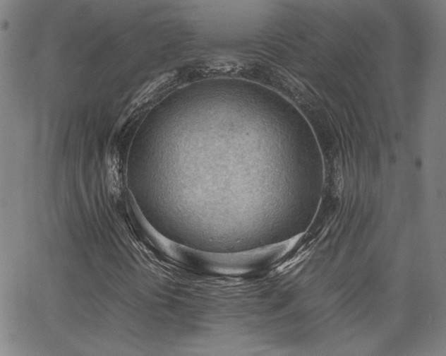 X0000062601394200512211058