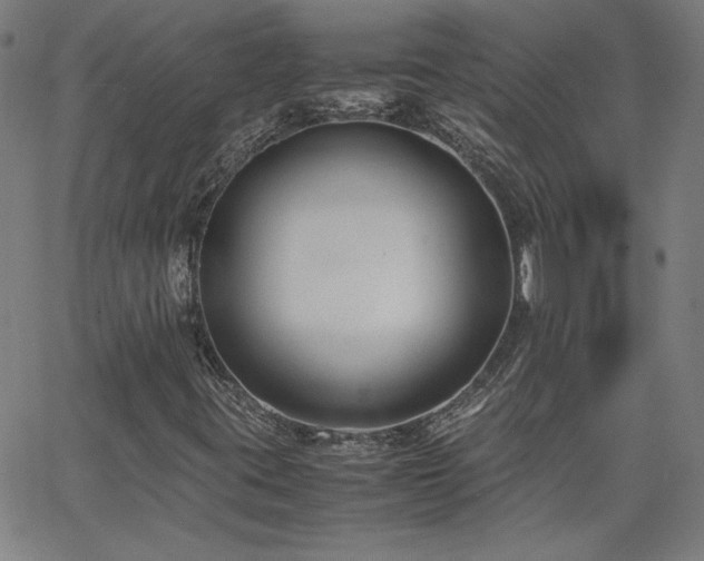 X0000062601395200512211058