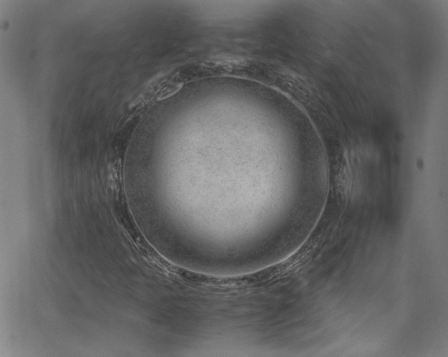 X0000062601397200512211058