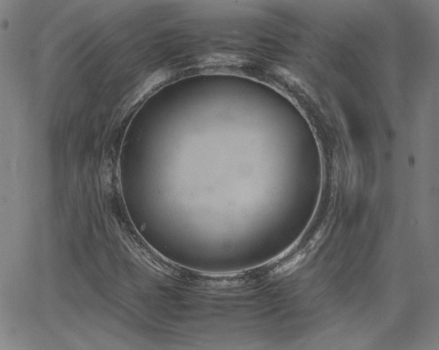 X0000062601401200512211058