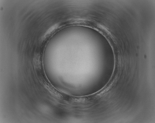 X0000062601403200512211058