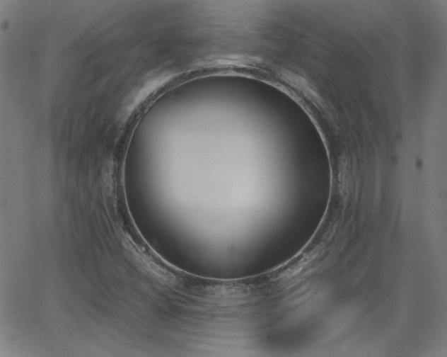 X0000062601404200512211058