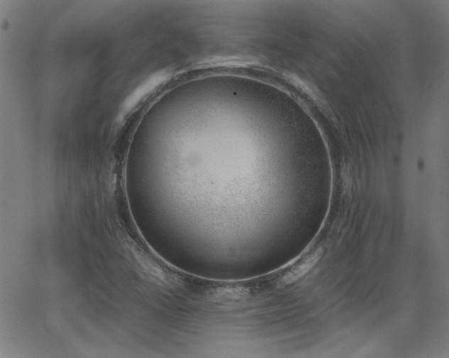 X0000062601406200512211058