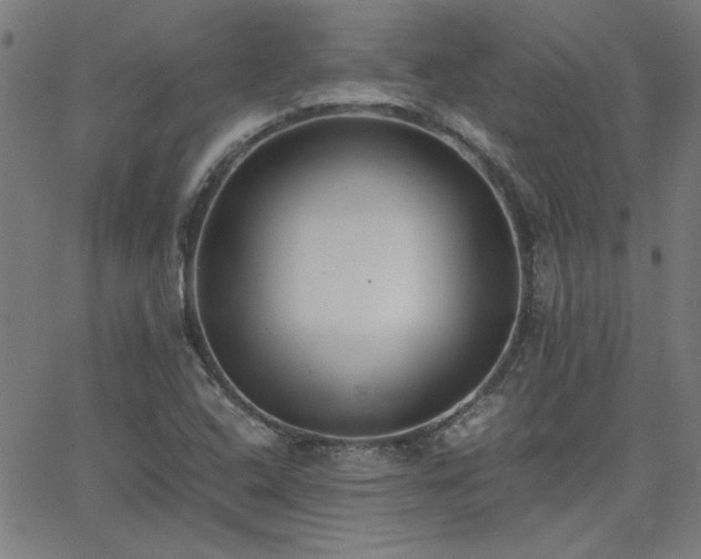 X0000062601408200512211058