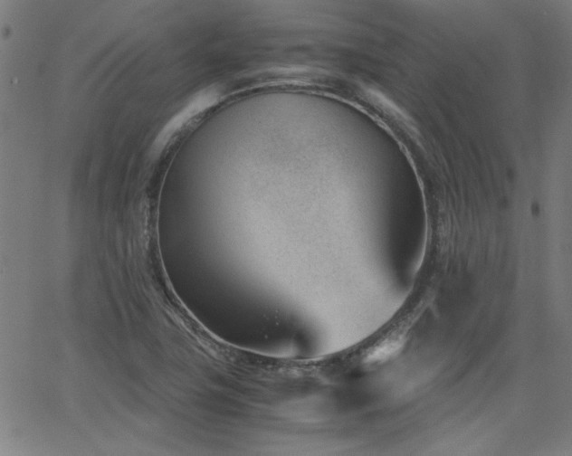 X0000062601411200512211058