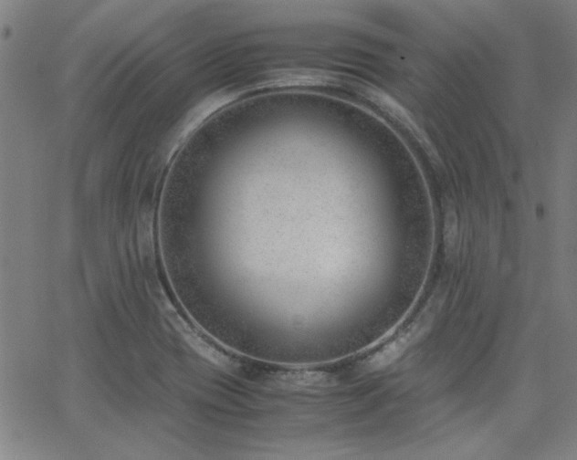 X0000062601417200512211058