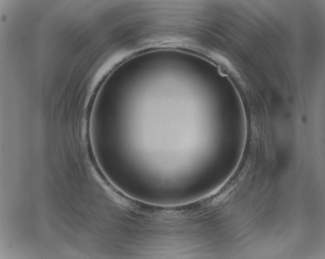 X0000062601424200512211059