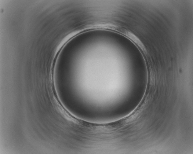 X0000062601436200512211059
