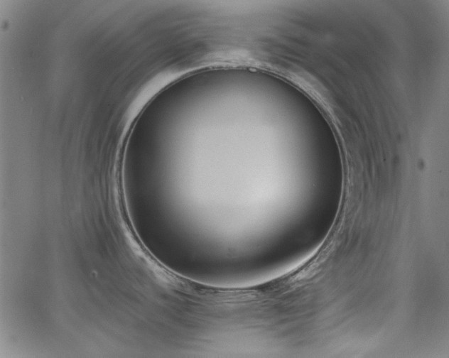 X0000062601440200512211059