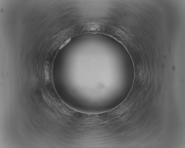 X0000062601442200512211058