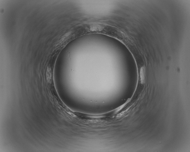 X0000062601443200512211058