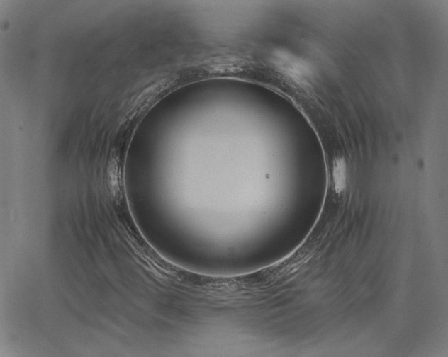 X0000062601444200512211058