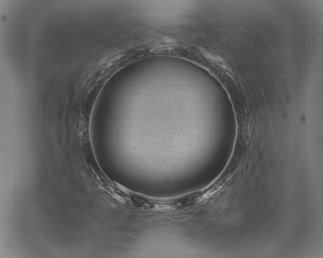 X0000062601445200512211058
