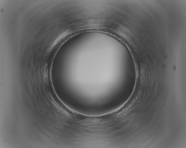 X0000062601450200512211058