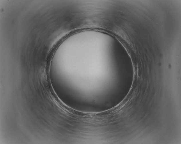 X0000062601452200512211058