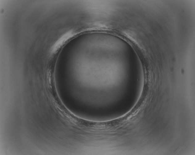 X0000062601455200512211058