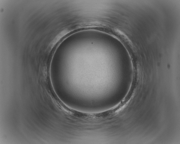 X0000062601457200512211058
