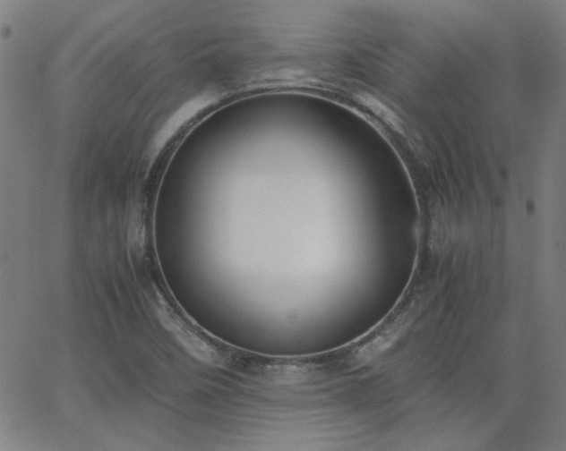 X0000062601458200512211058