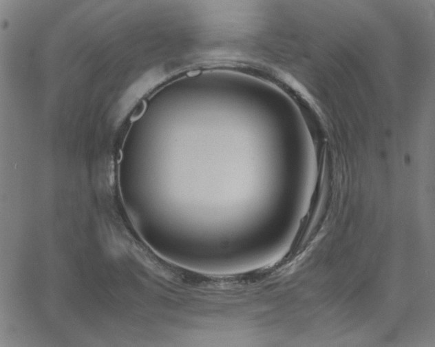 X0000062601461200512211058