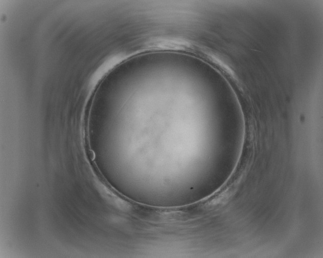 X0000062601471200512211058