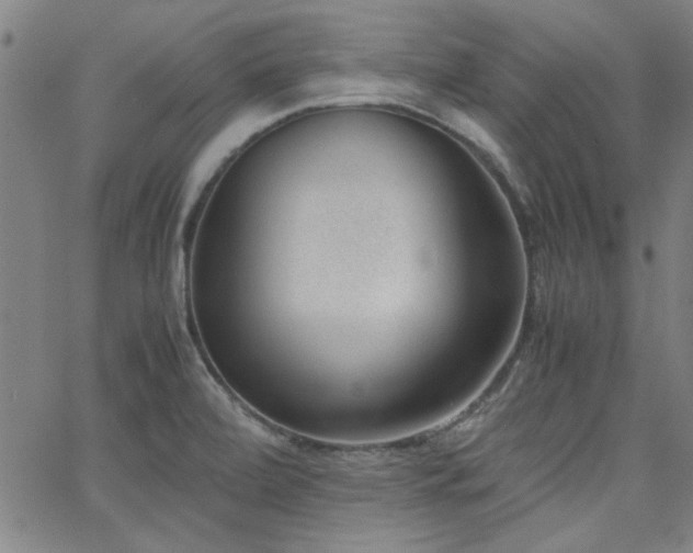 X0000062601472200512211058