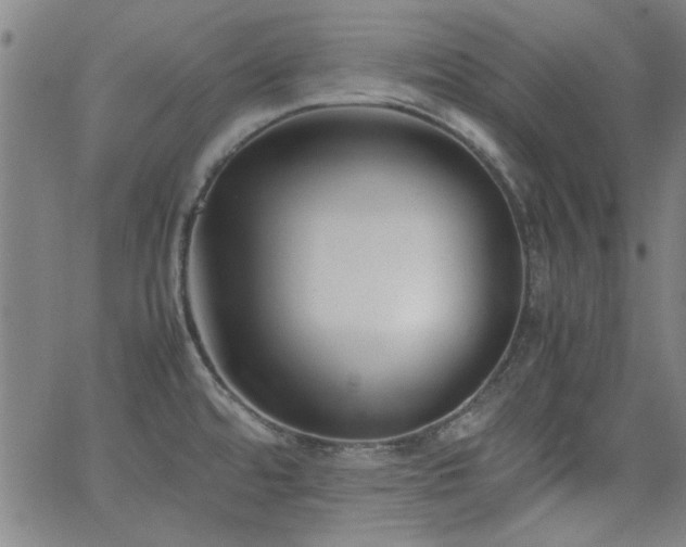 X0000062601480200512211057