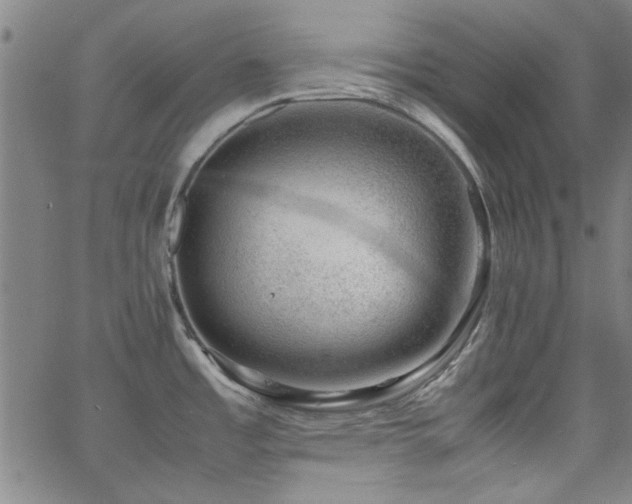 X0000062601485200512211057