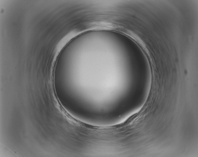 X0000062601488200512211057