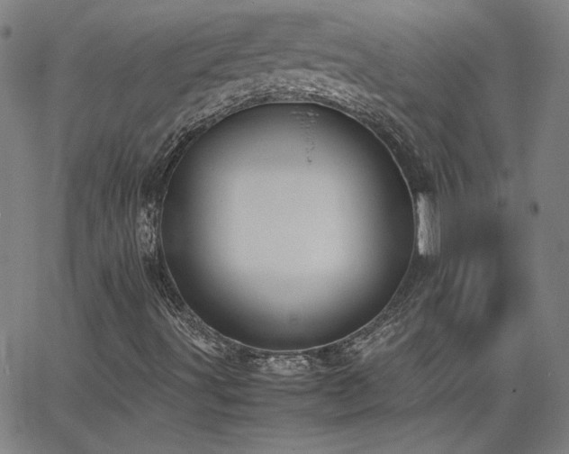 X0000062601491200512211056