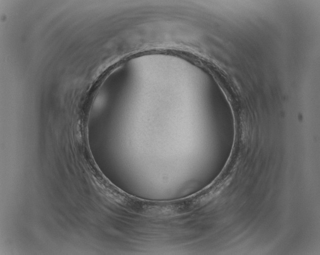 X0000062601497200512211057