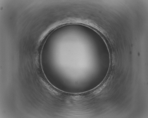X0000062601502200512211057