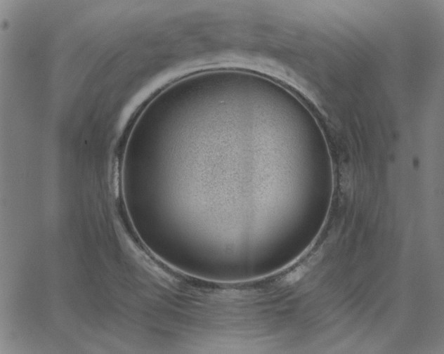 X0000062601510200512211057
