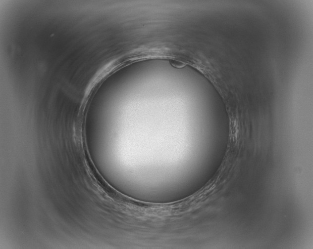 X0000062600004200512230905