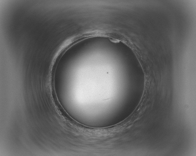 X0000062600006200512230905