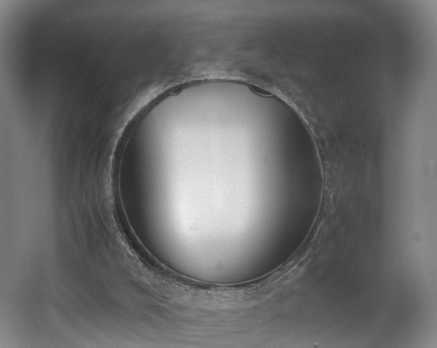 X0000062600008200512230905