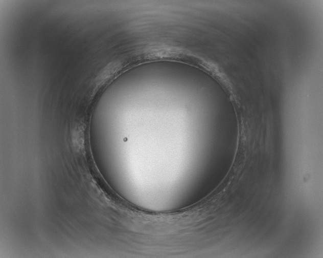 X0000062600010200512230905