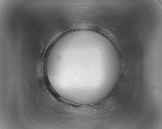 X0000062600012200512230905