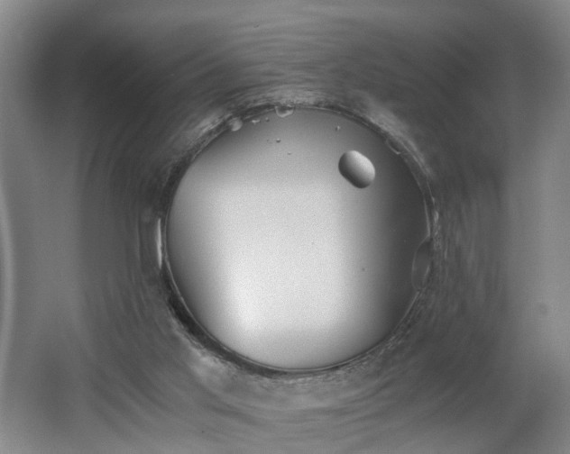 X0000062600013200512230905