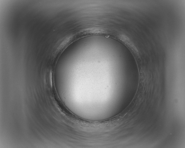 X0000062600014200512230905