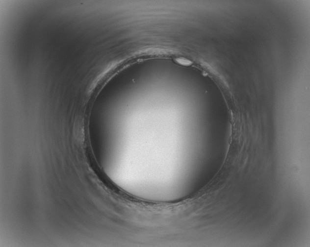 X0000062600015200512230905