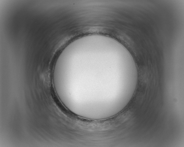 X0000062600016200512230905