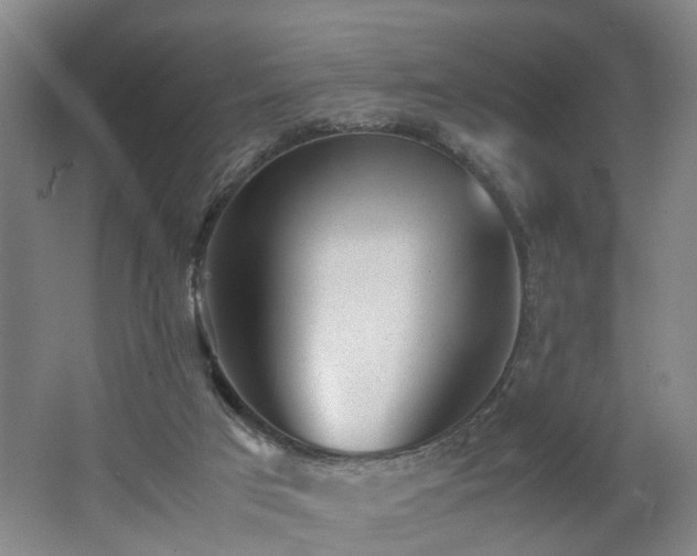 X0000062600017200512230905