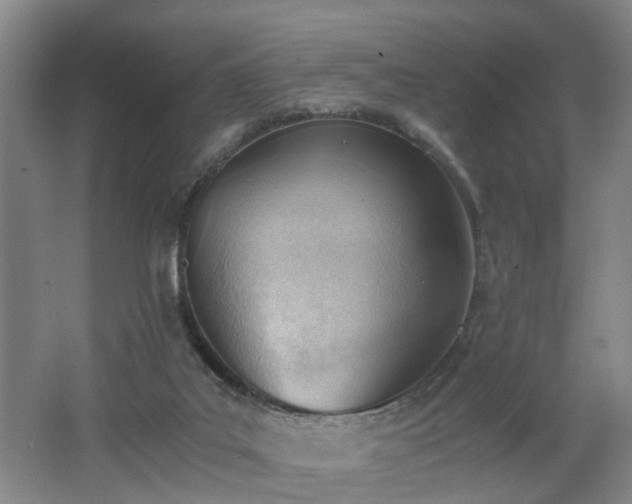 X0000062600019200512230905