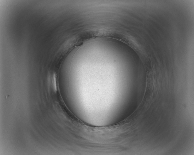 X0000062600022200512230904