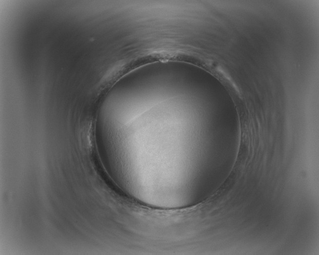 X0000062600023200512230904