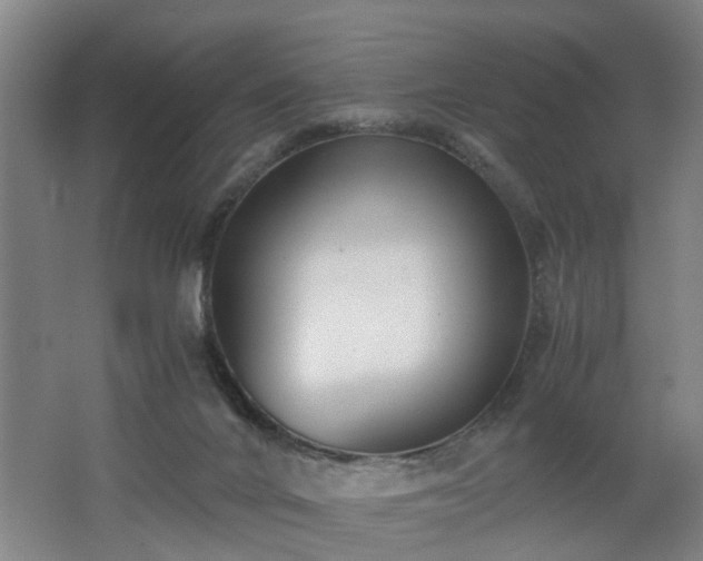 X0000062600024200512230904